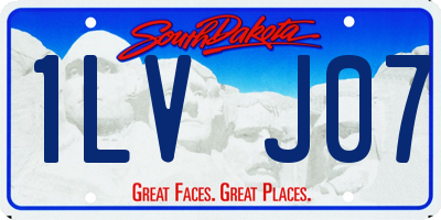 SD license plate 1LVJ07