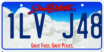 SD license plate 1LVJ48