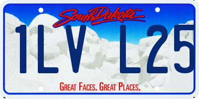 SD license plate 1LVL25