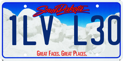 SD license plate 1LVL30