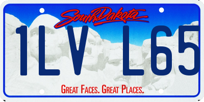 SD license plate 1LVL65
