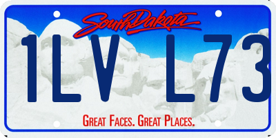 SD license plate 1LVL73