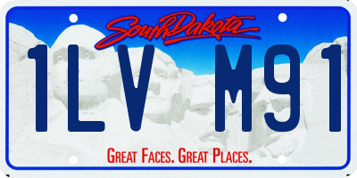 SD license plate 1LVM91