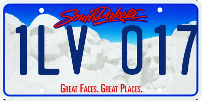 SD license plate 1LVO17