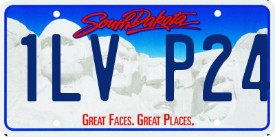SD license plate 1LVP24