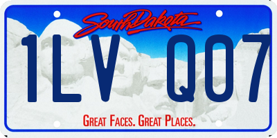 SD license plate 1LVQ07