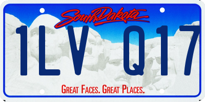 SD license plate 1LVQ17