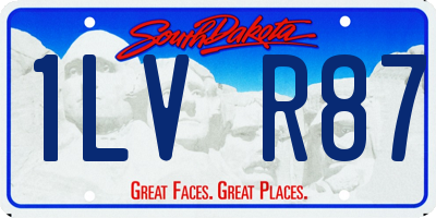 SD license plate 1LVR87
