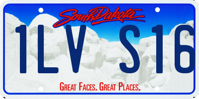 SD license plate 1LVS16
