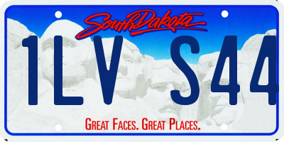 SD license plate 1LVS44