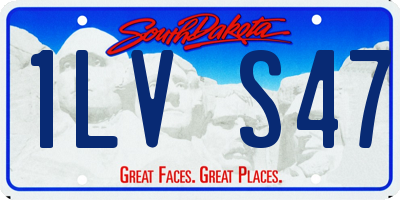 SD license plate 1LVS47