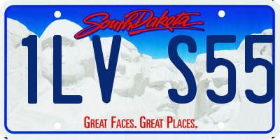 SD license plate 1LVS55