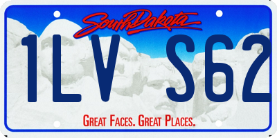 SD license plate 1LVS62