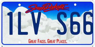 SD license plate 1LVS66