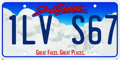 SD license plate 1LVS67