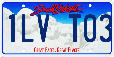SD license plate 1LVT03
