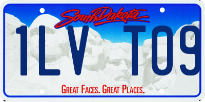 SD license plate 1LVT09