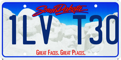 SD license plate 1LVT30