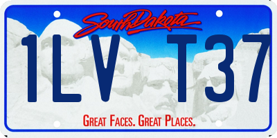 SD license plate 1LVT37