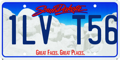 SD license plate 1LVT56