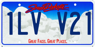 SD license plate 1LVV21