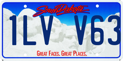 SD license plate 1LVV63