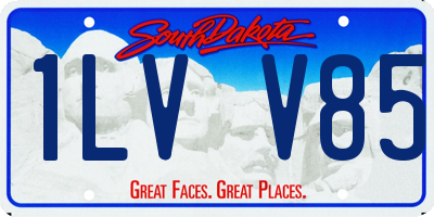 SD license plate 1LVV85