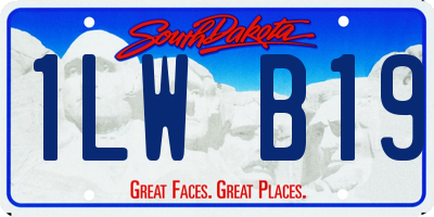 SD license plate 1LWB19