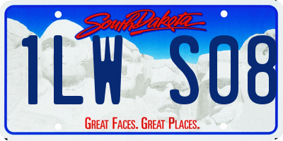 SD license plate 1LWS08