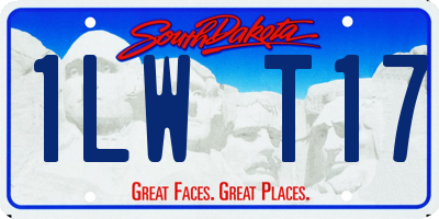 SD license plate 1LWT17