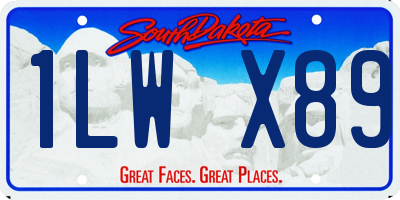 SD license plate 1LWX89