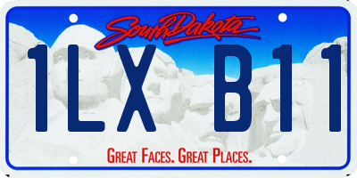SD license plate 1LXB11