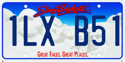 SD license plate 1LXB51