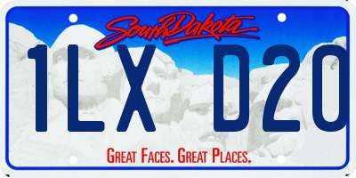 SD license plate 1LXD20