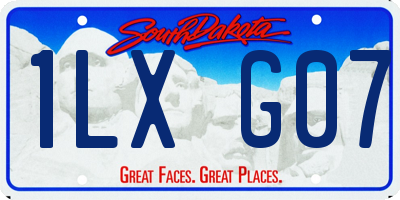 SD license plate 1LXG07