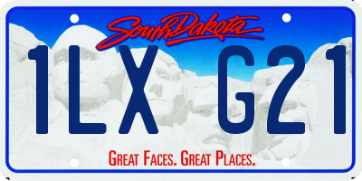 SD license plate 1LXG21
