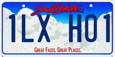 SD license plate 1LXH01