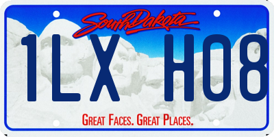 SD license plate 1LXH08