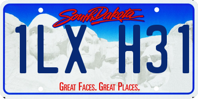 SD license plate 1LXH31