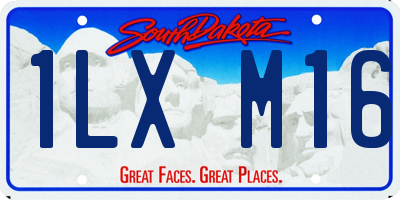 SD license plate 1LXM16