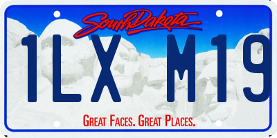 SD license plate 1LXM19