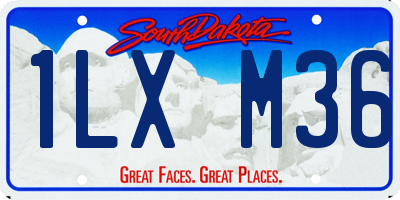 SD license plate 1LXM36