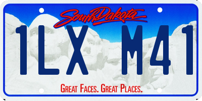 SD license plate 1LXM41