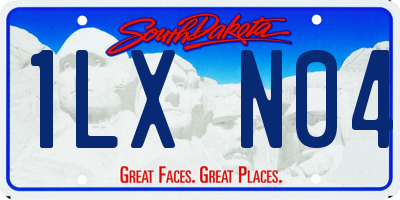 SD license plate 1LXN04