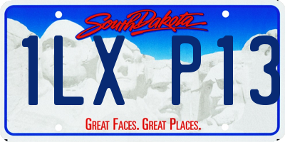 SD license plate 1LXP13