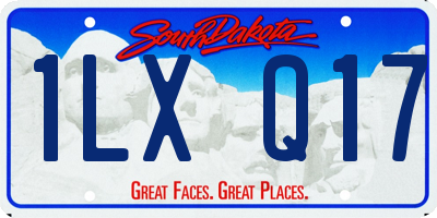 SD license plate 1LXQ17