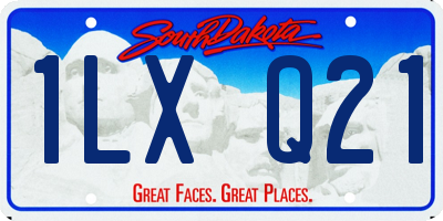 SD license plate 1LXQ21