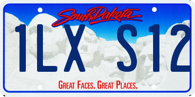 SD license plate 1LXS12
