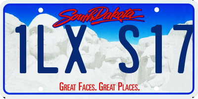SD license plate 1LXS17