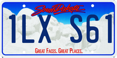SD license plate 1LXS61